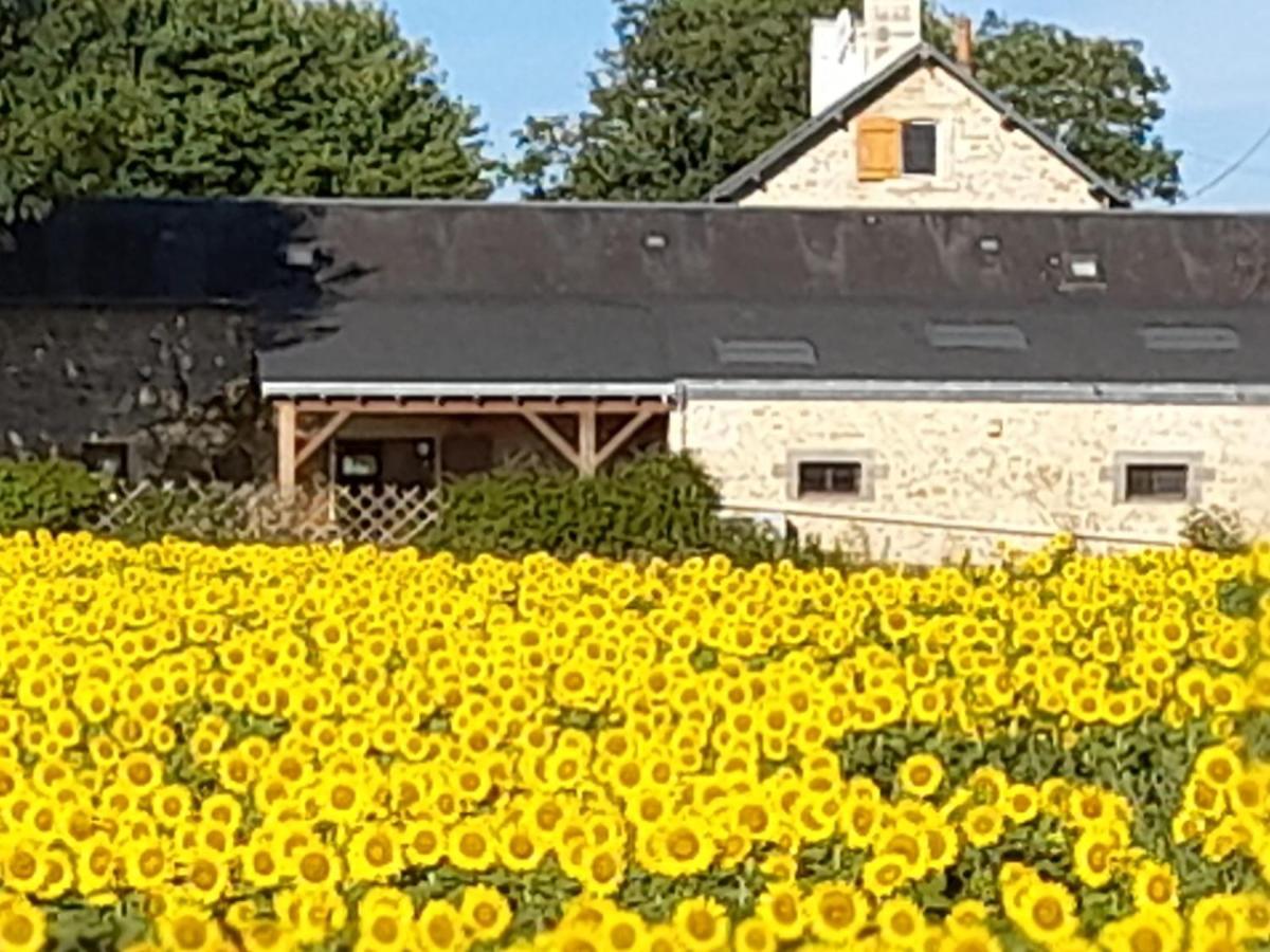 3 Self-Contained Gites With Pool And Games Room Saint-Georges-de-Noisne Exterior photo